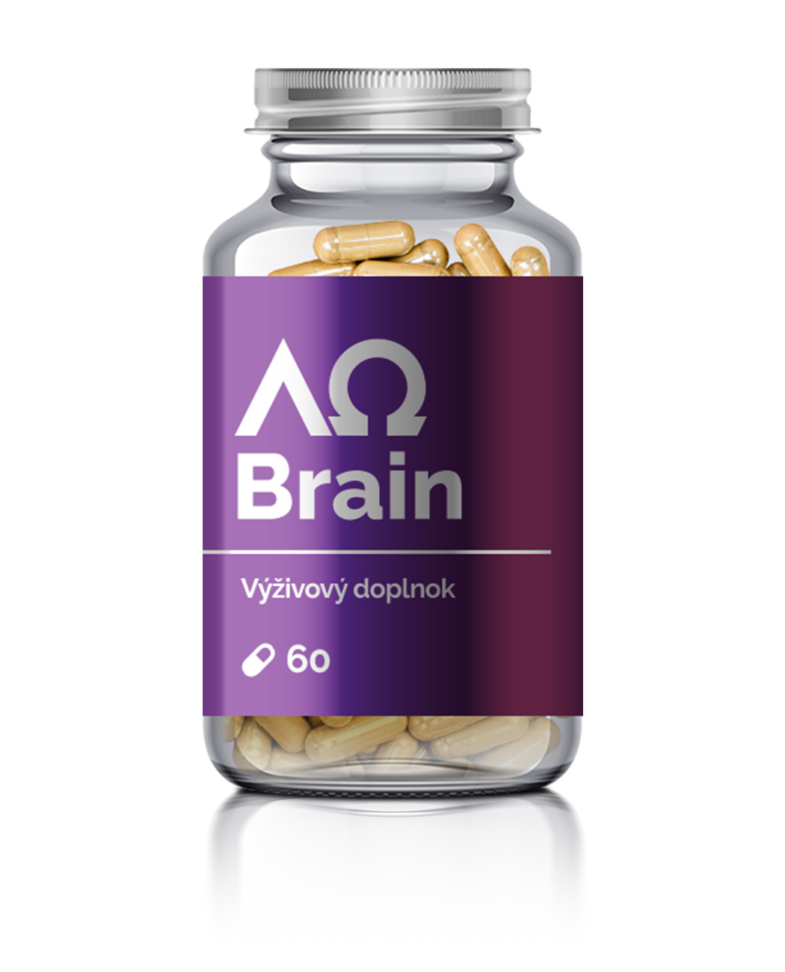 Brain